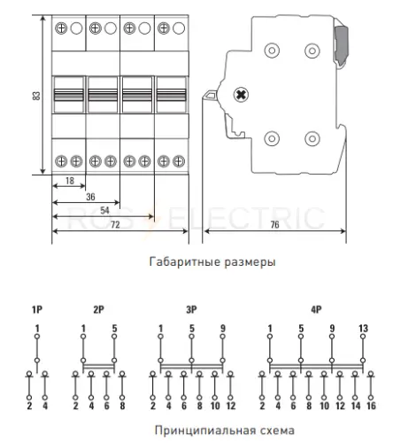 tps163_3.jpg