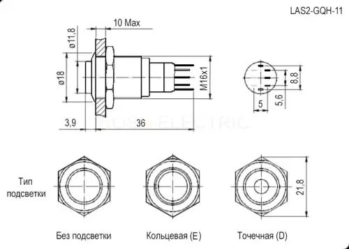 77909_2.jpg