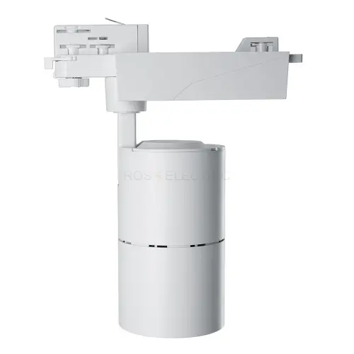 41603_4.jpg