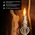 Лампа филаментная REXANT Витая свеча LCW35 7.5 Вт 600 Лм 2400K E14 золотистая колба 604-119 REXANT