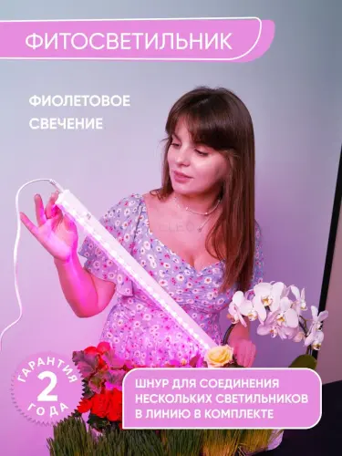 29000_5.jpg