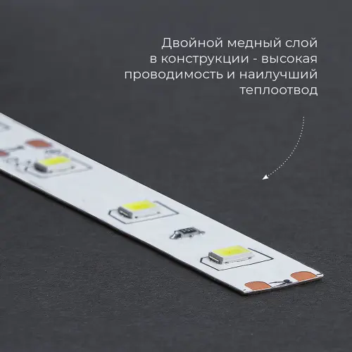 41447_3.jpg