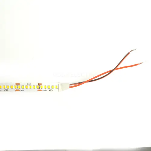 48829_3.jpg