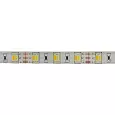 LED лента White Mix, 12 В, 12 мм, IP65, SMD 5050, 60 LED/m, цвет свечения белый (6000 К) + цвет свеч 141-244 LAMPER