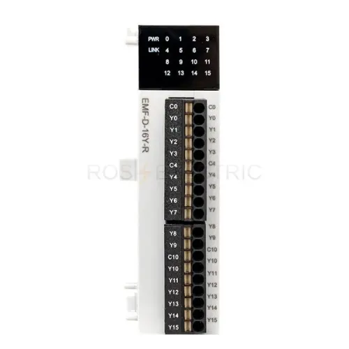 emf_d_16y_r_3.jpg