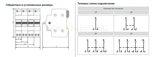 tps_2_25_3.jpg