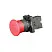 bv_1_ct42_1.jpg