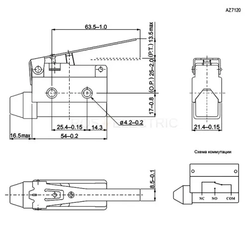 61786_2.jpg