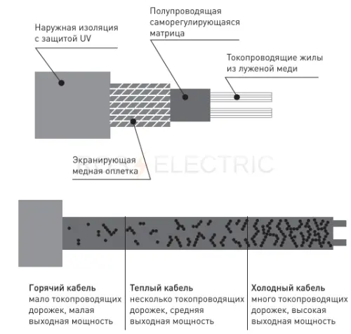 dse_40p_200_2.jpg