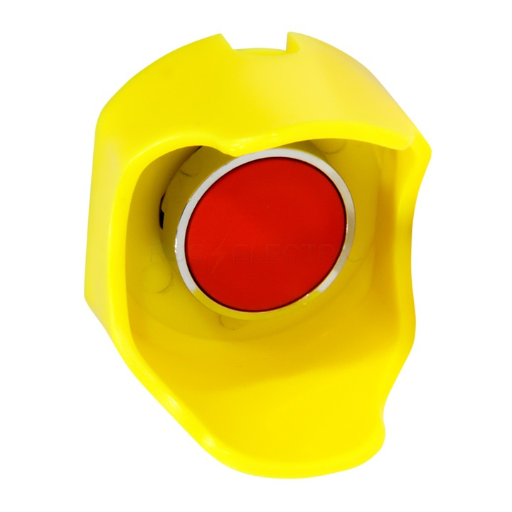 scep_p_4.jpg