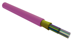 foc5004_d_in24_hf_0200_1.jpg