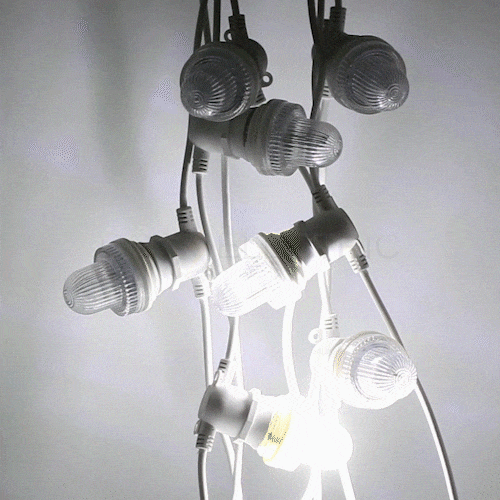 25929_3.jpg