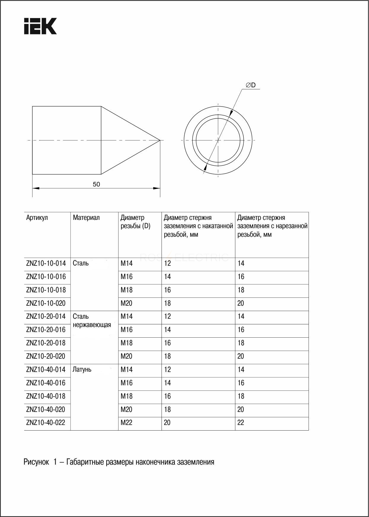 znz10_10_016_3.jpg