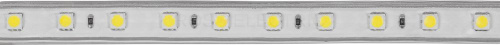 26250_3.jpg