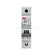 mcb6_1_40d_av_2.jpg
