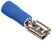 010 RpIm