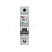 mcb6_1_50b_av_2.jpg