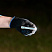 75_713_2.jpg