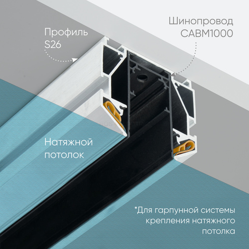 48286_5.jpg