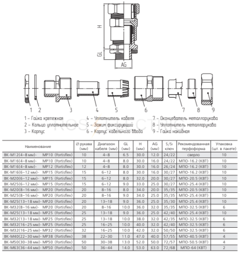 89105_2.jpg