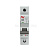 mcb6_1_20c_av_2.jpg