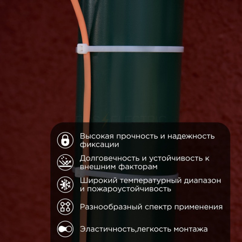 67_0400_8_2.jpg