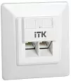 ITK Внутренняя информационная розетка RJ45 кат.6 UTP 2 порта CS2-1C06U-2-1 ITK/ИТК